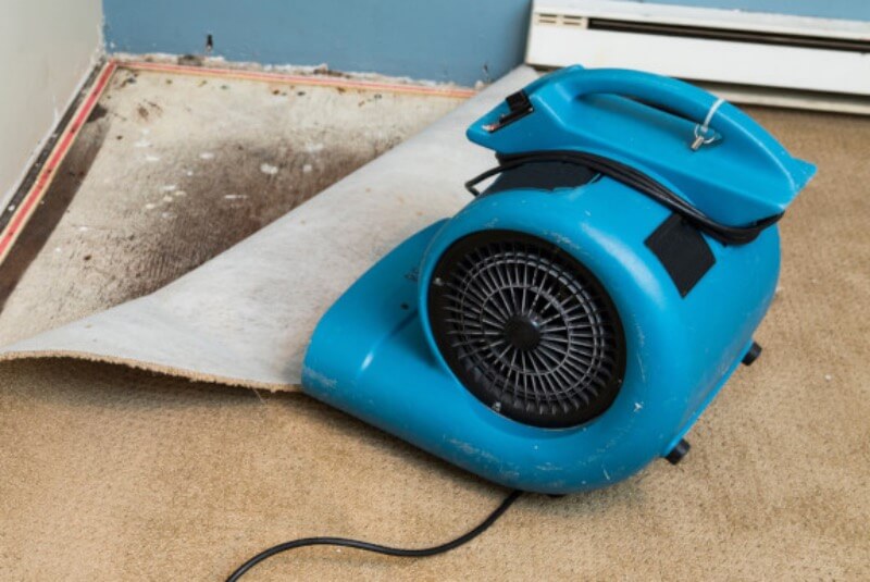 Carpet Cleaners Cedar City Ut